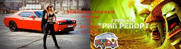 сатива Лиски
