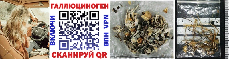 Галлюциногенные грибы Psilocybe  Михайловск 