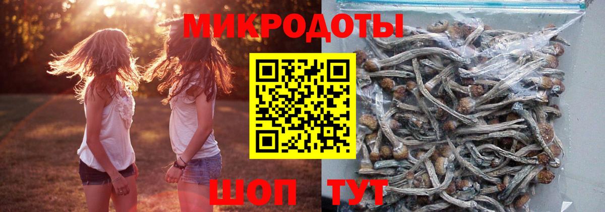 Псилоцибиновые грибы MAGIC MUSHROOMS  Вход с VPN  Михайловск 