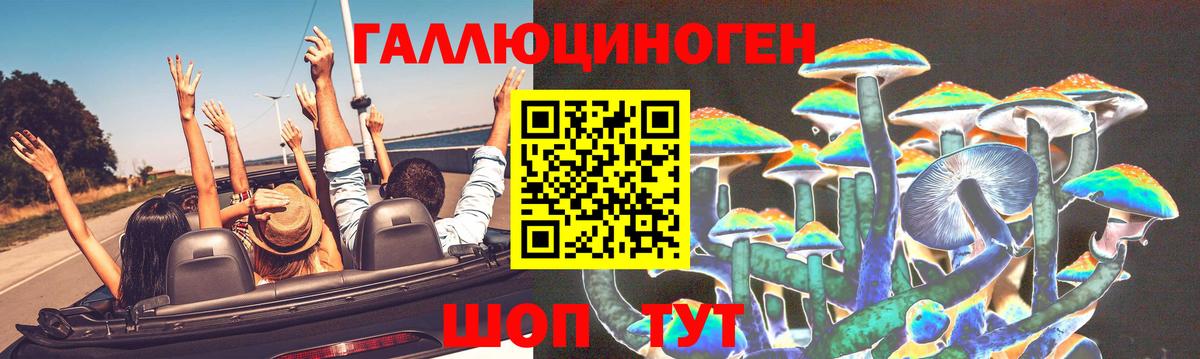Псилоцибиновые грибы GOLDEN TEACHER Михайловск